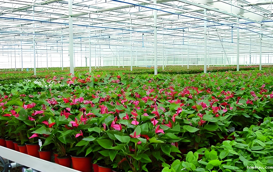 温湿度测量仪在农业领域的多元应用场景!