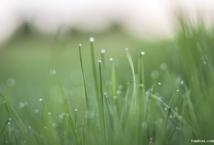 湿度、压力与露点：理解空气中的水分特性！